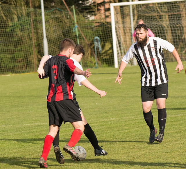 了极致的发 了极致的发