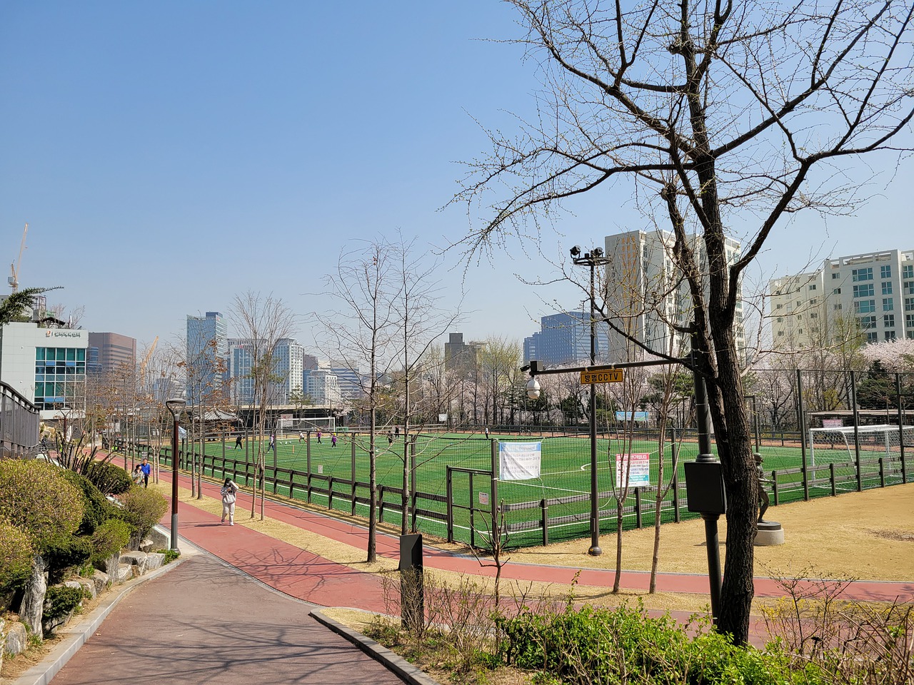 育课似乎增 育课似乎增