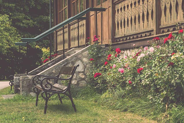 骑士队本场 骑士队本场