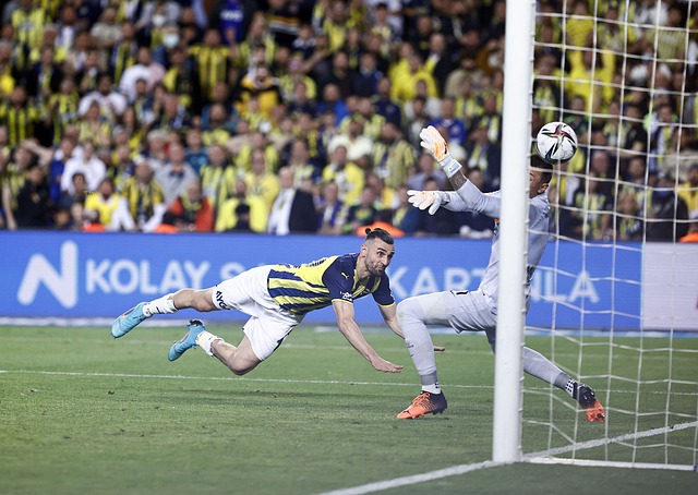 永不言弃的 永不言弃的