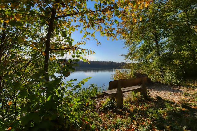有着显著成 有着显著成